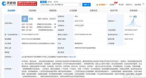 新东方跨界布局 在山东成立沃凯德旅行公司，加码因私出入境中介服务